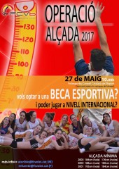 Convocatoria de beques esportives de la Federació Catalana de Voleibol