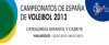 CESA Valladolid 2013 (2-6 Juliol)